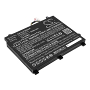 Battery compatibleWith Schenker