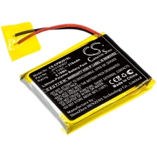 Kompatibler Ersatzakku für Compustar JHY190507