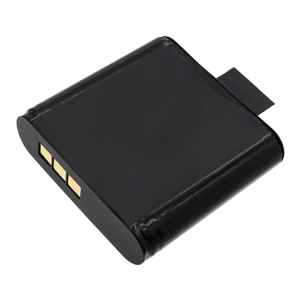 Battery Replaces F1