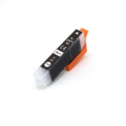 Kompatibler Ersatz für Kompatibel mit Epson C13T24314012 / 13ml Tinte Schwarz (Tintenpatronen)